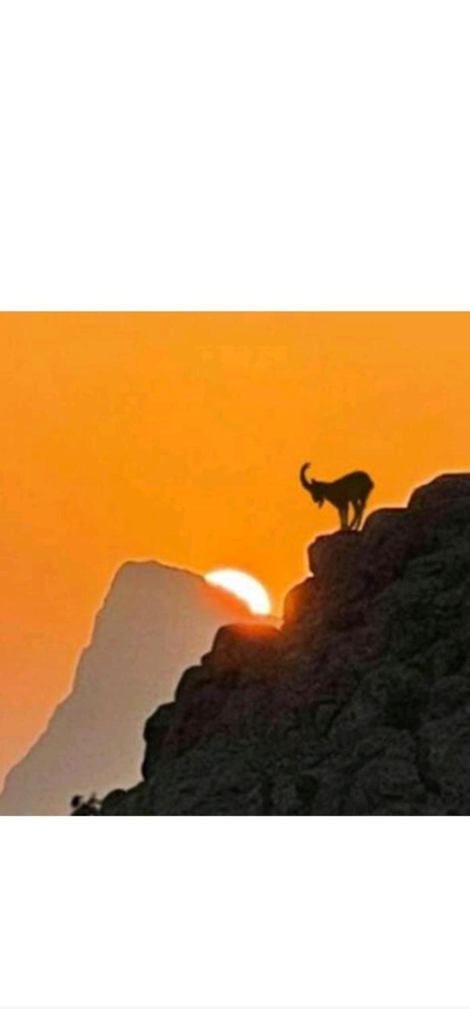جبل شمس Jabal Shams Sunset House Βίλα Dar Sawda Εξωτερικό φωτογραφία